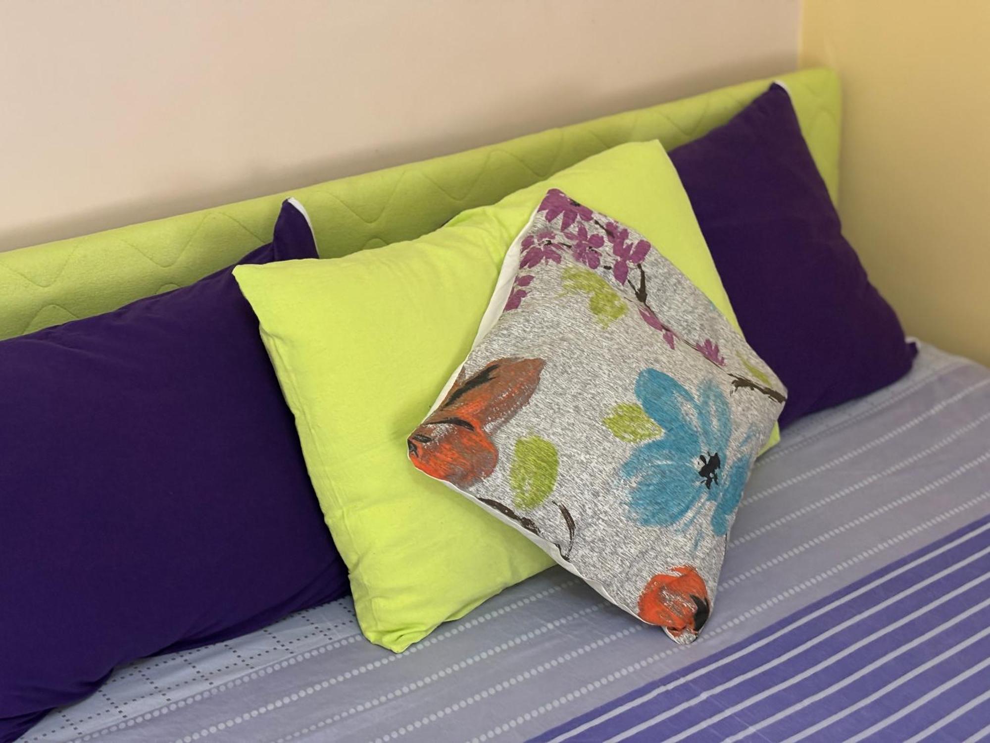 Vracar Affordable Suites - Vracar Povoljni Stanovi Belgrád Kültér fotó